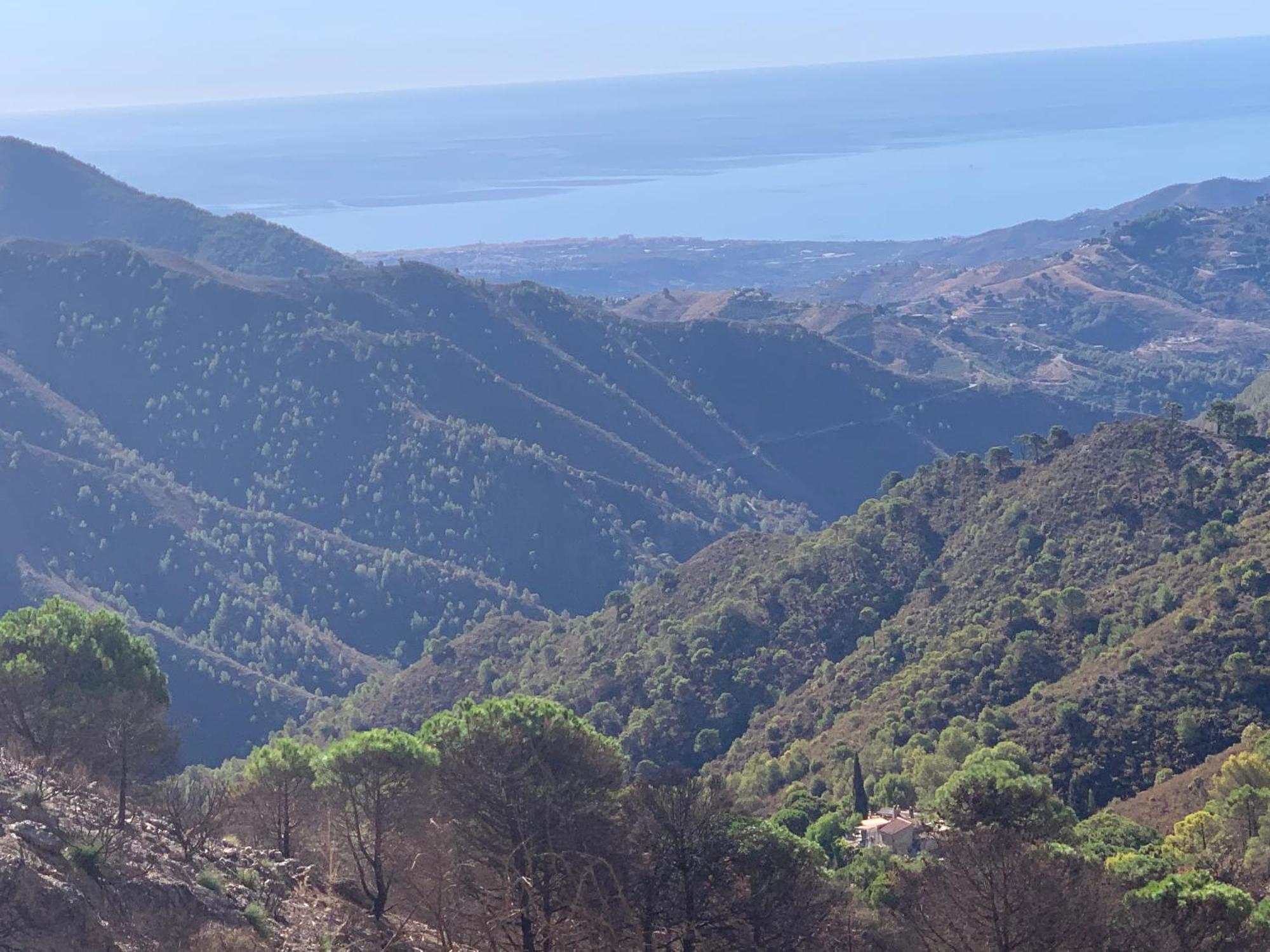 Finca El Almendro Малага Экстерьер фото