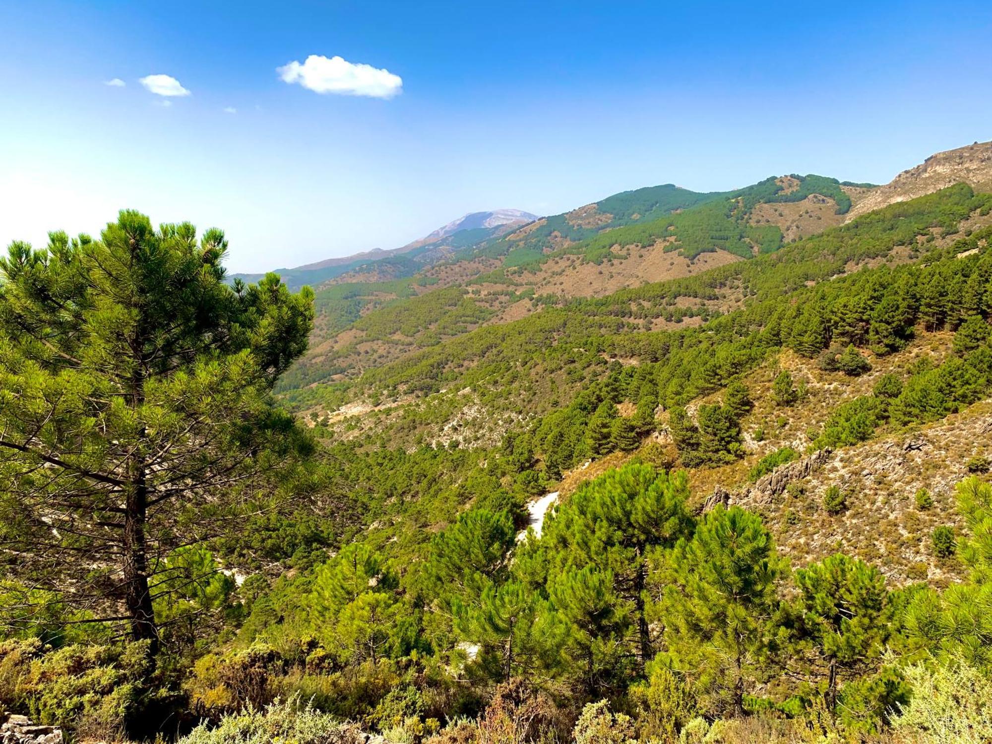 Finca El Almendro Малага Экстерьер фото
